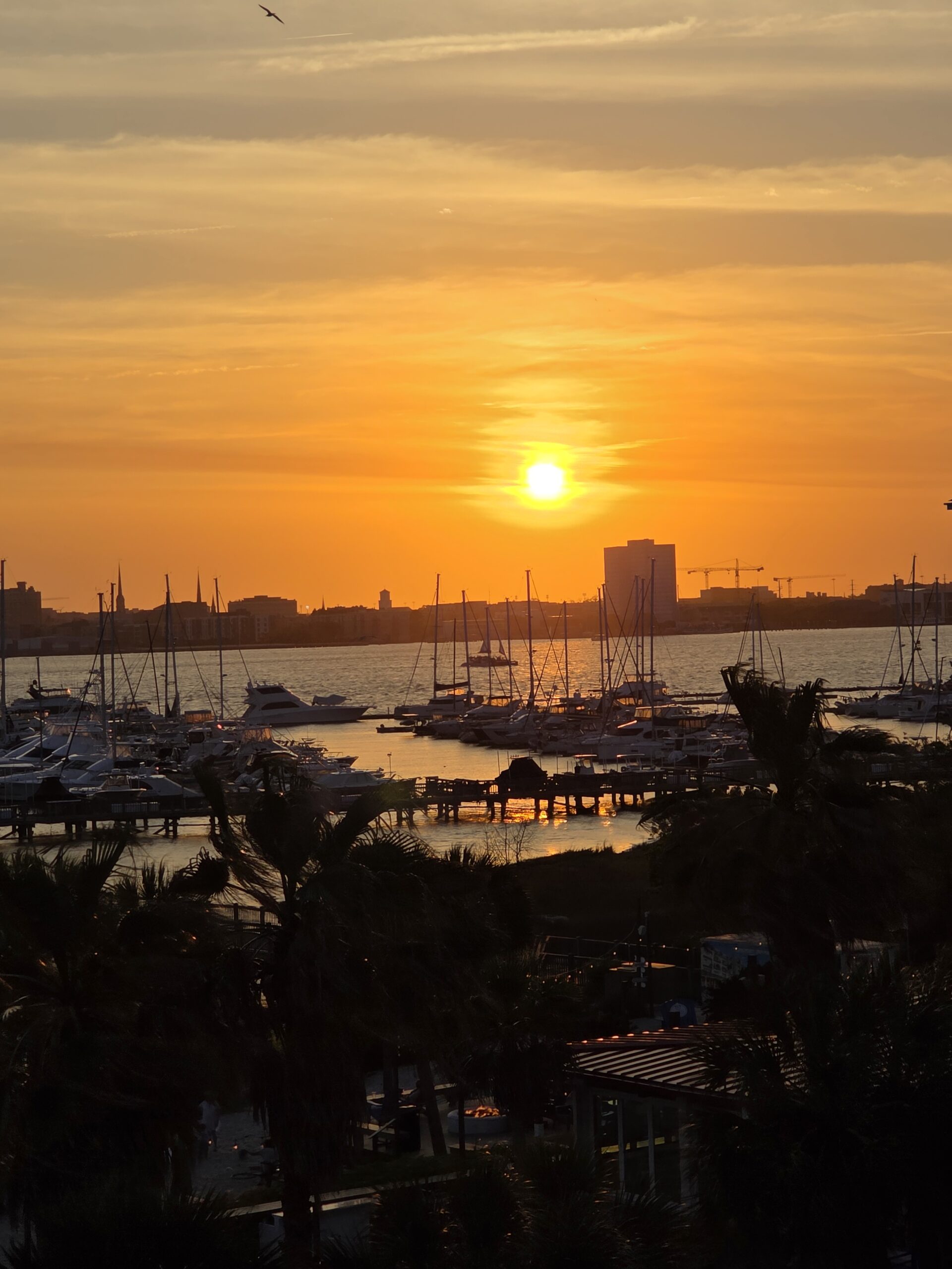 Honeymoon in the Holy City: A Romantic Charleston Getaway We’ll Never Forget
